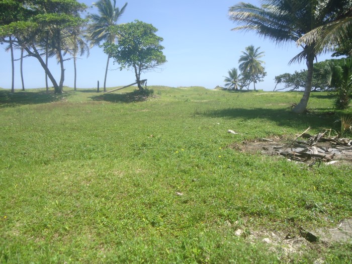 83324-1305_dsc05318custom