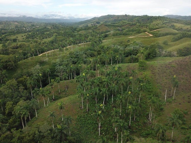 95300-1784_org0da8f2e637e5d87f15422053180002custom