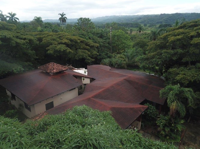 95300-1784_org78d57cec4329e9a21542204742000custom