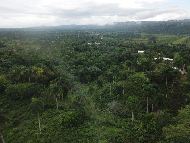 95300-1784_org8d7787a341fef1881542205100000custom