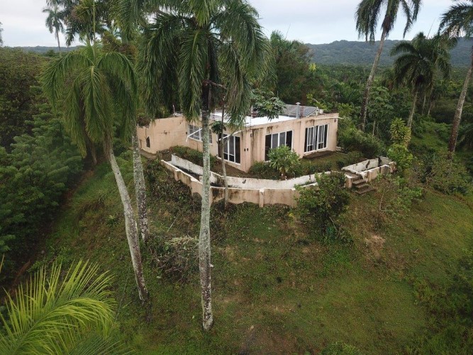 95300-1784_ronburton1custom