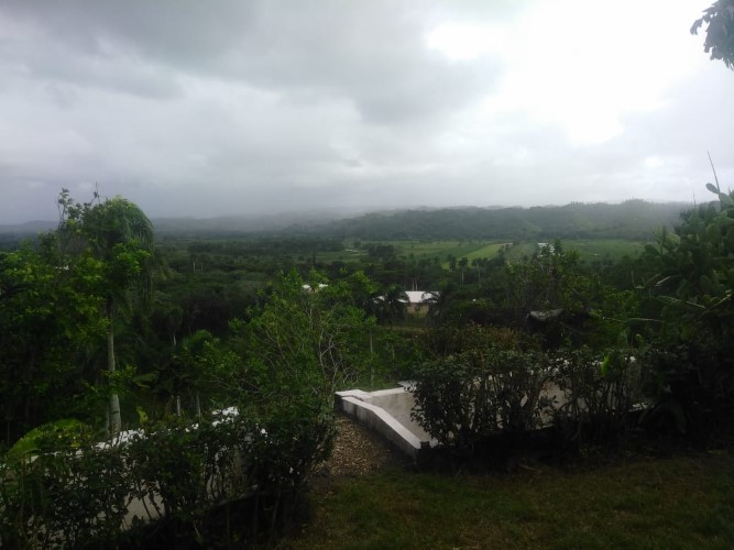 95300-1784_ronburton6custom