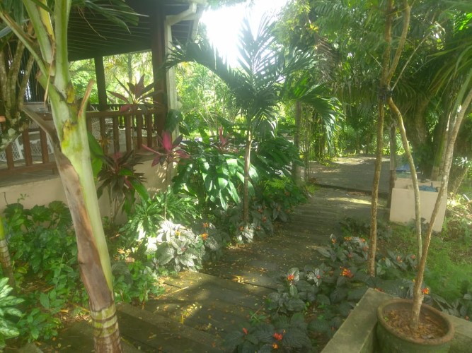 95300-1784_ronburton8custom