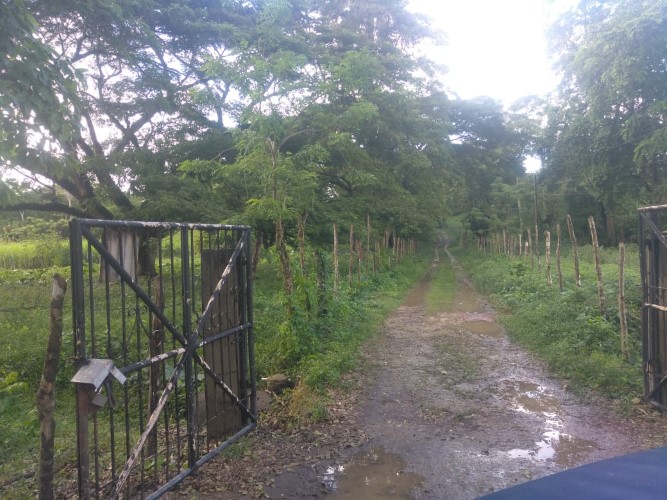 95300-1784_ronburton9custom