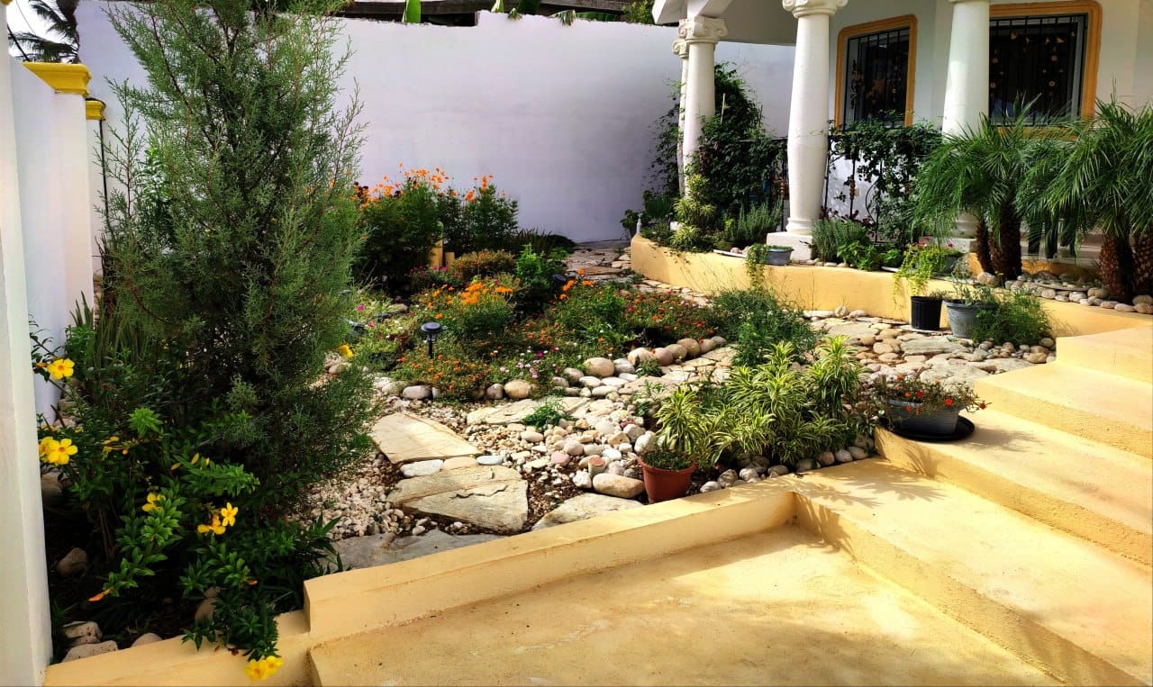 158729-front_yard