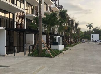 146312-189a2d15_9efa_4f4a_bd83_bd9a387fb9f6