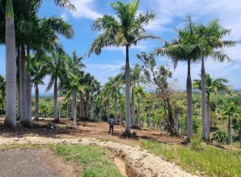 154189-a54dd692_5f79_4a0c_a4ea_68d822c96bfc