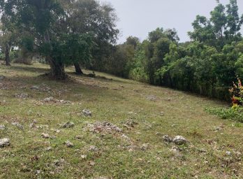 154297-whatsapp_image_2025_12_22_at_14.34.17__4_