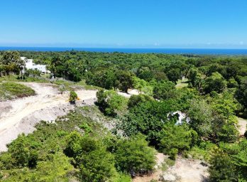 156106-photo_2025_03_18_08_45_01